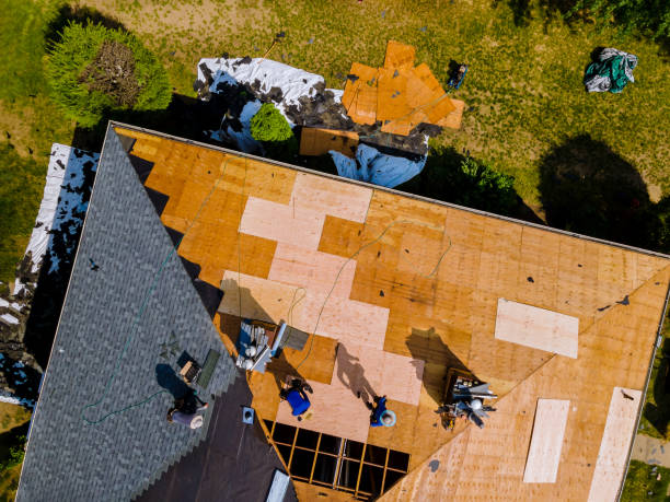 Best Roof Gutter Cleaning  in Wellsburg, WV